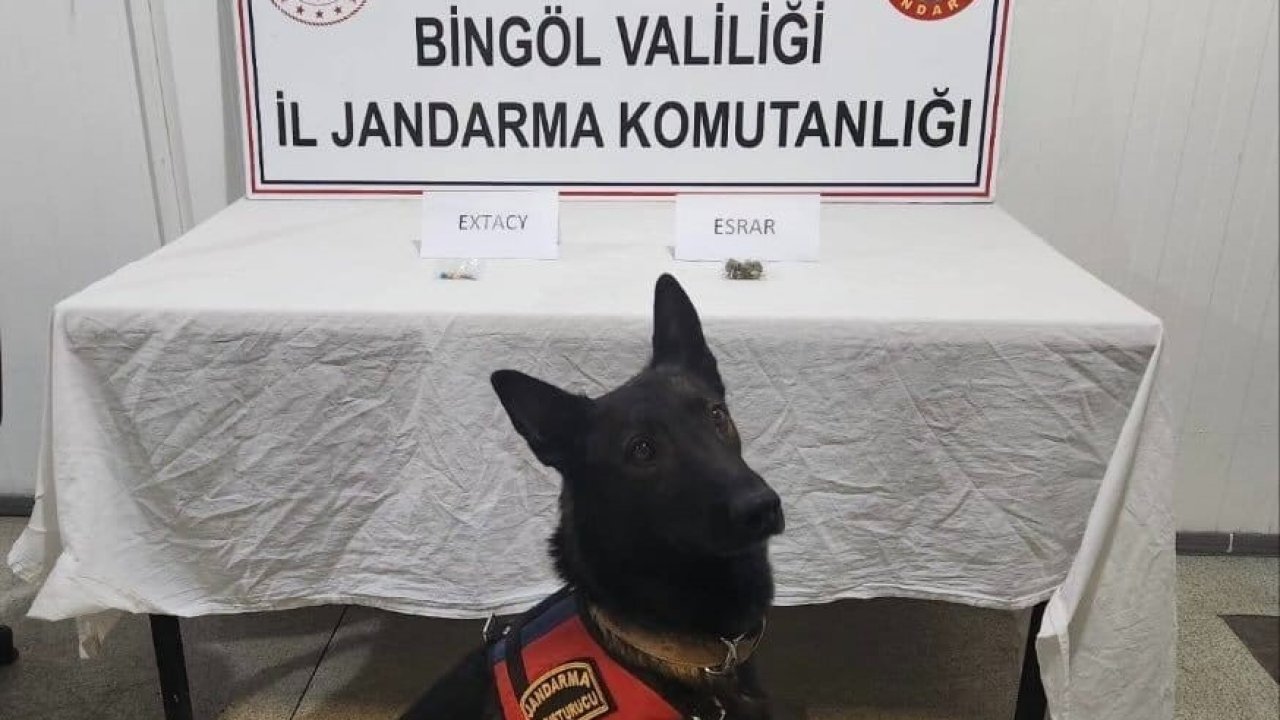 Bingöl’de jandarma ekipler suçlulara göz açtırmıyor