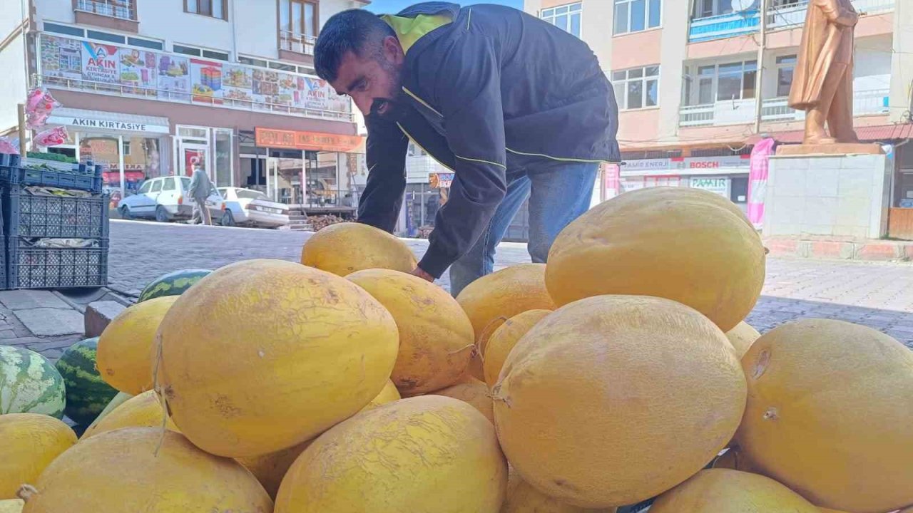 Çemişgezek’in her mevsime dirençli kış kavunu tezgahlardaki yerini aldı