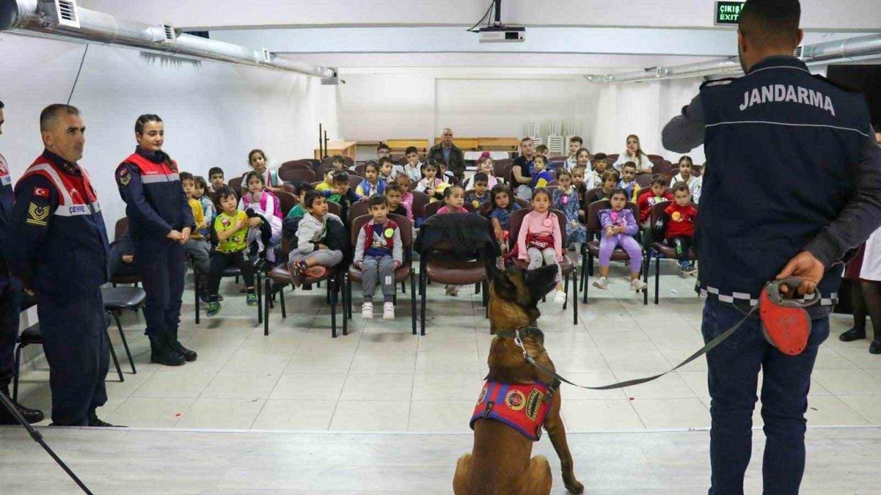 Jandarma ekipleri hayvanları koruma günüyle ilgili etkinlik gerçekleştirdi