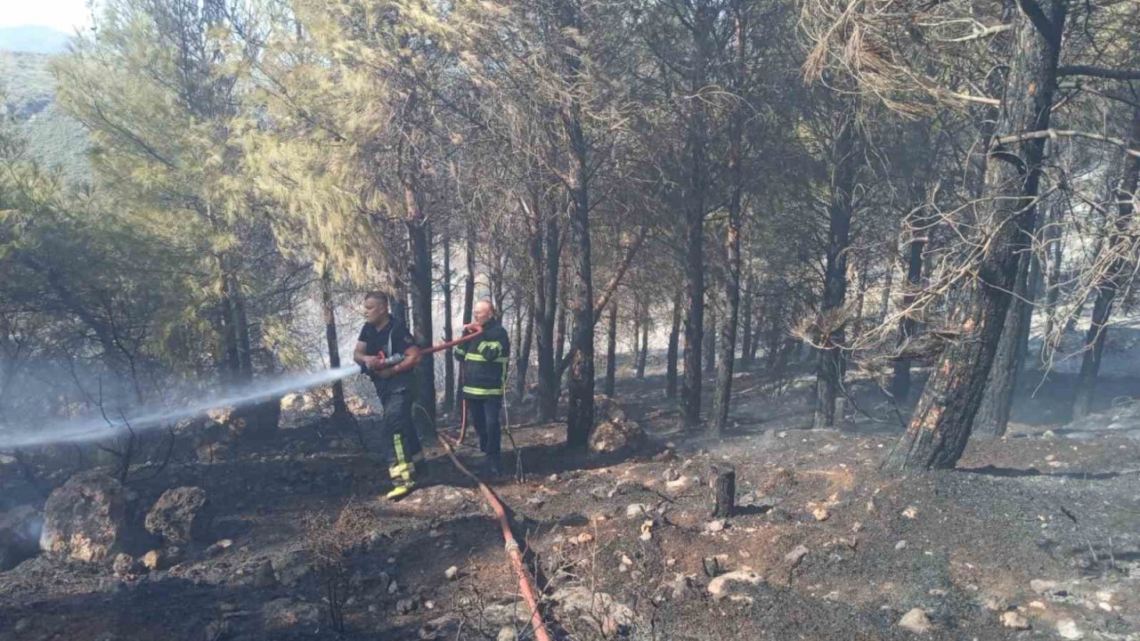 Antakya’da orman yangını