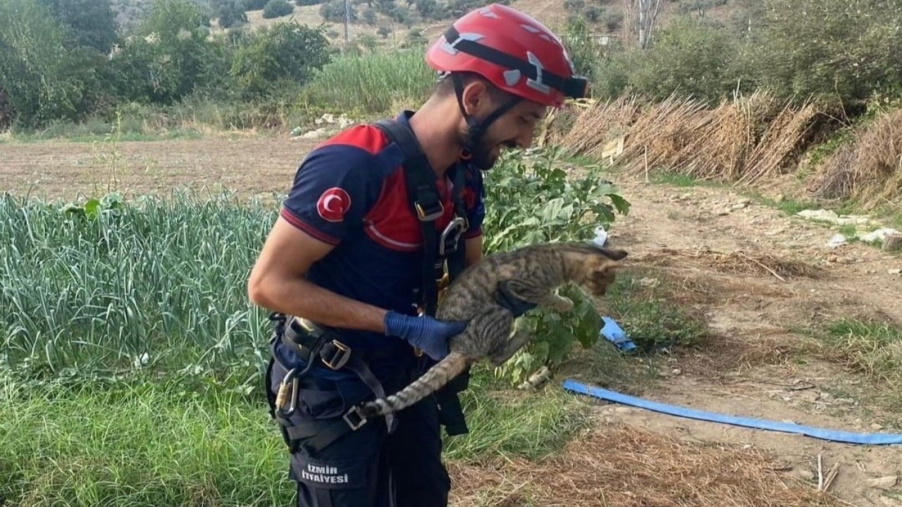 İzmir’de kuyuya düşen kediyi itfaiye kurtardı