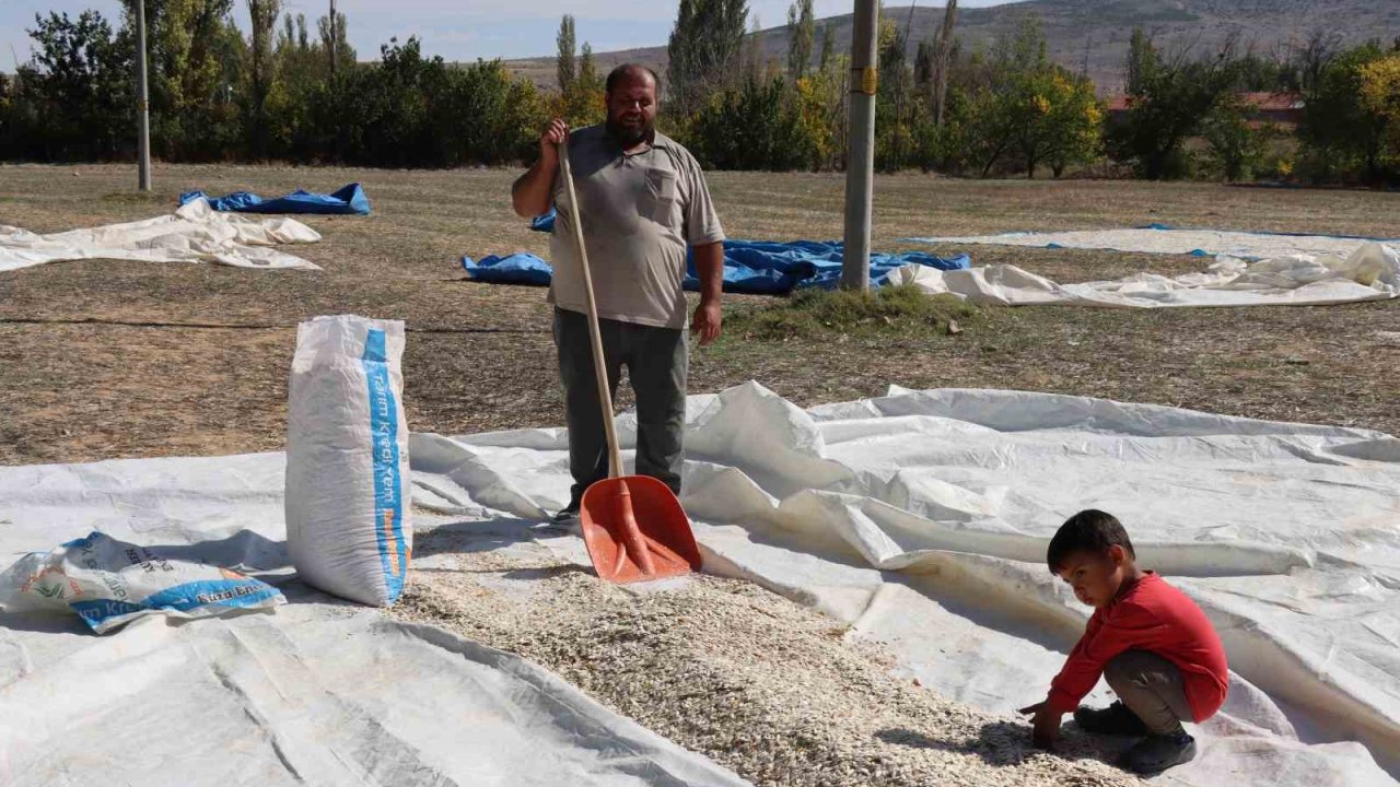 Tüccarın fırsatçılığı çiftçiyi mağdur ediyor