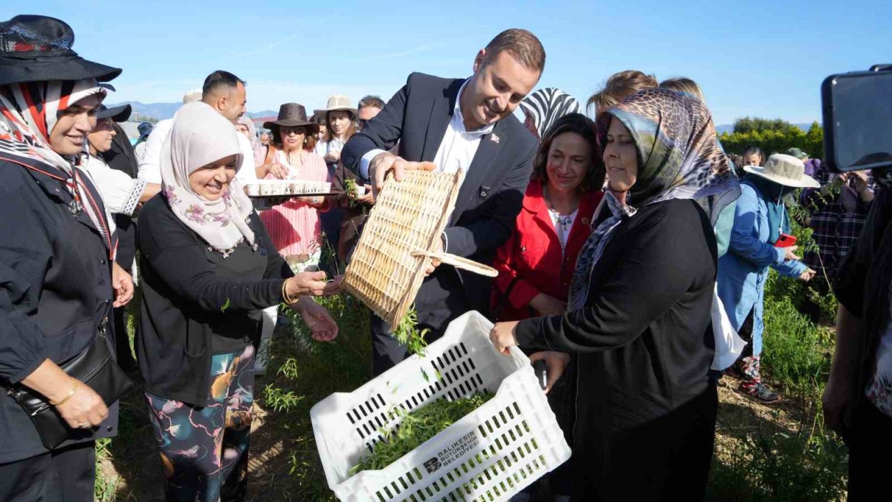 Başkan Akın, kadın çiftçilerin yanında