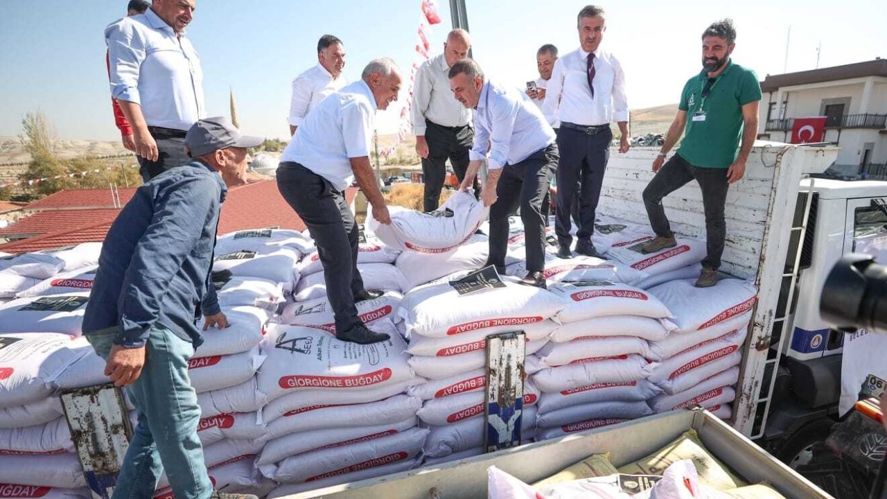 Sincan Belediyesi’nden buğday tohumu desteği