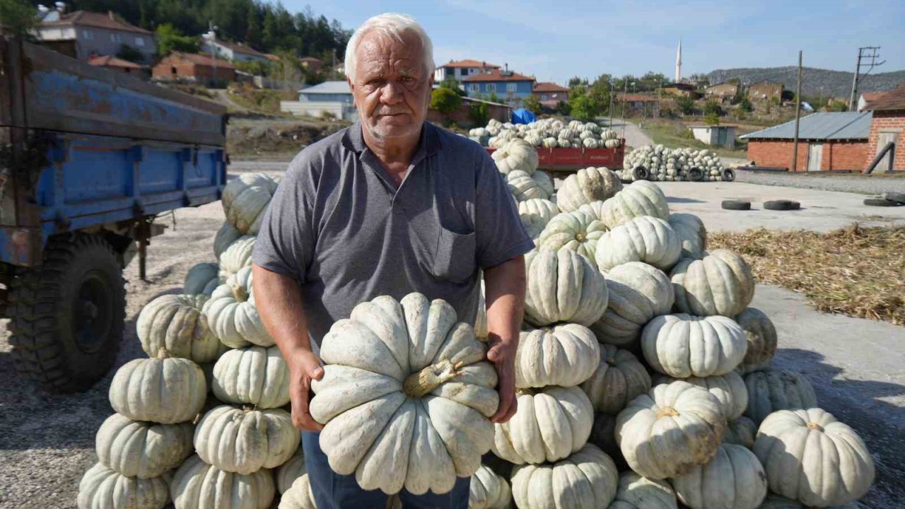 25 yıl önce deneme amaçlı ektiler, şimdi 40 şehre satıyorlar