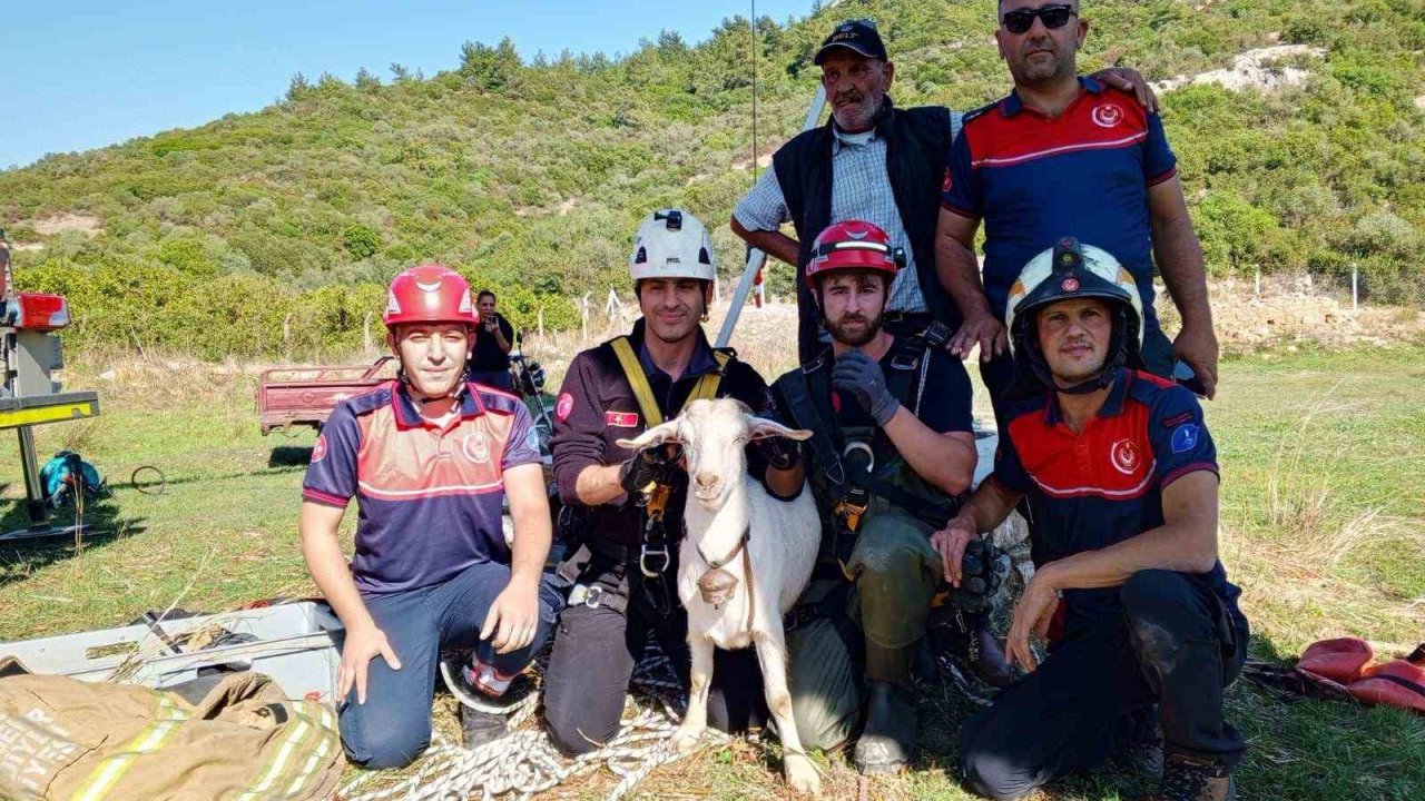 İzmir İtfaiyesi’nden yürekleri ısıtan kurtarma operasyonu