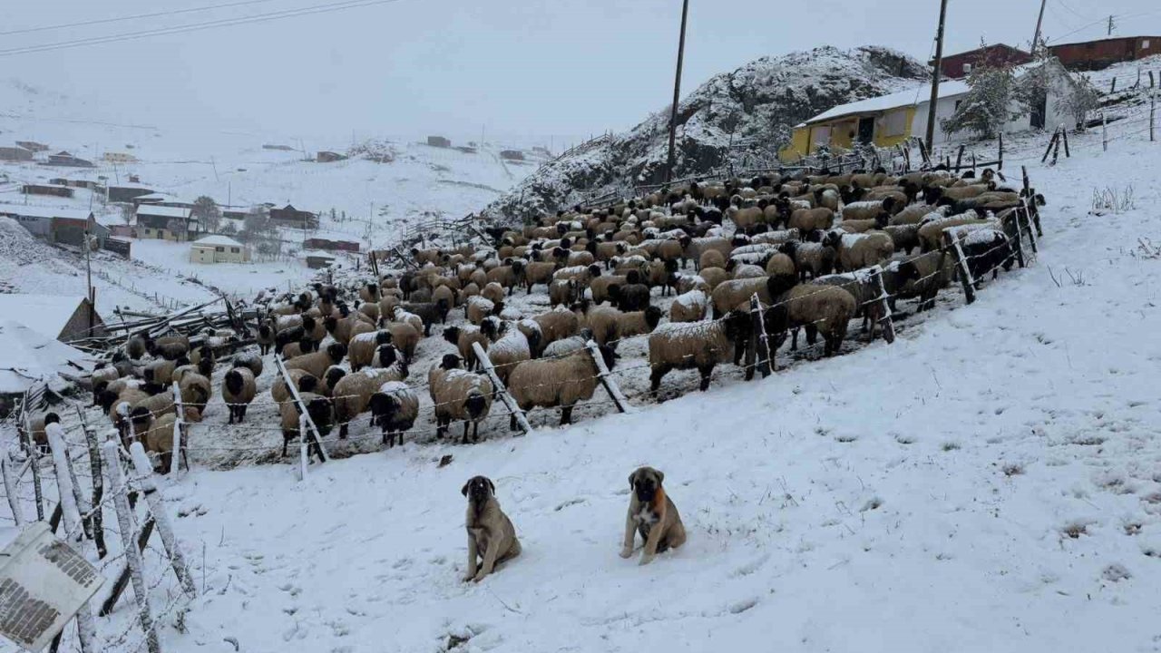 Kadırga Yaylası’na kar düştü, yaylacılar dönüşe geçti