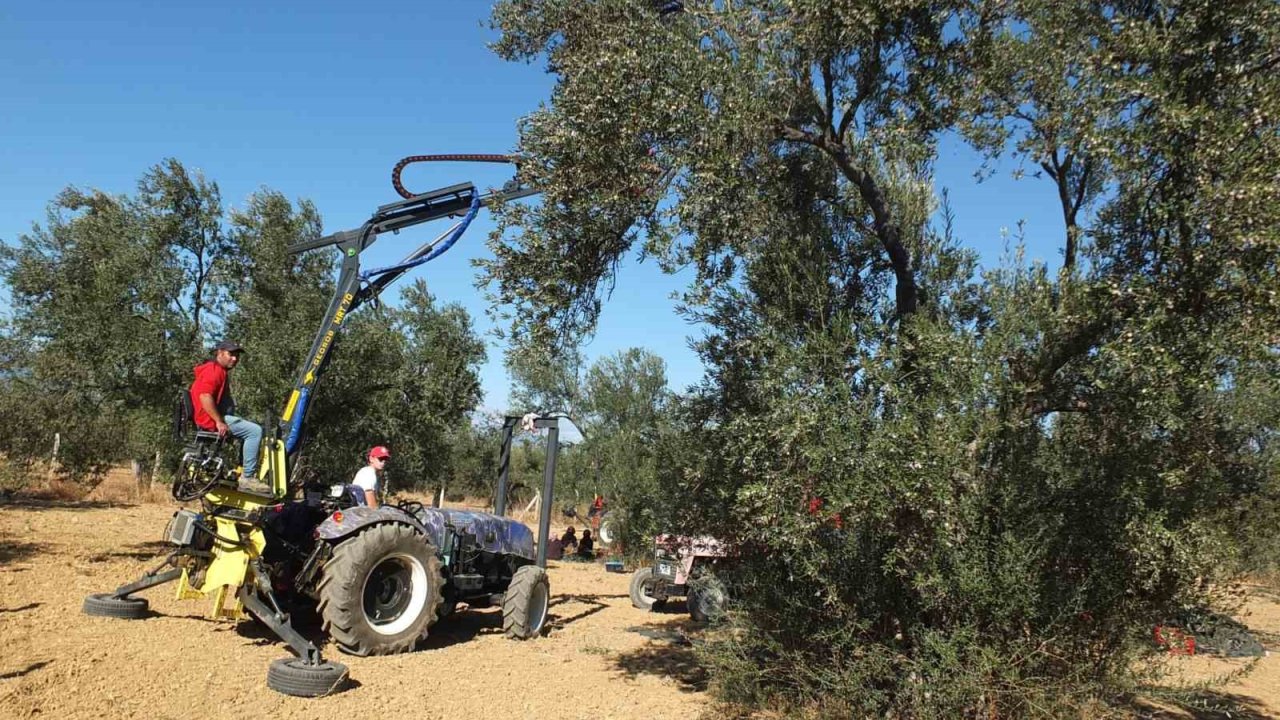 Balıkesirli kaşifin yaptığı makineler zeytin hasadını kolaylaştırdı