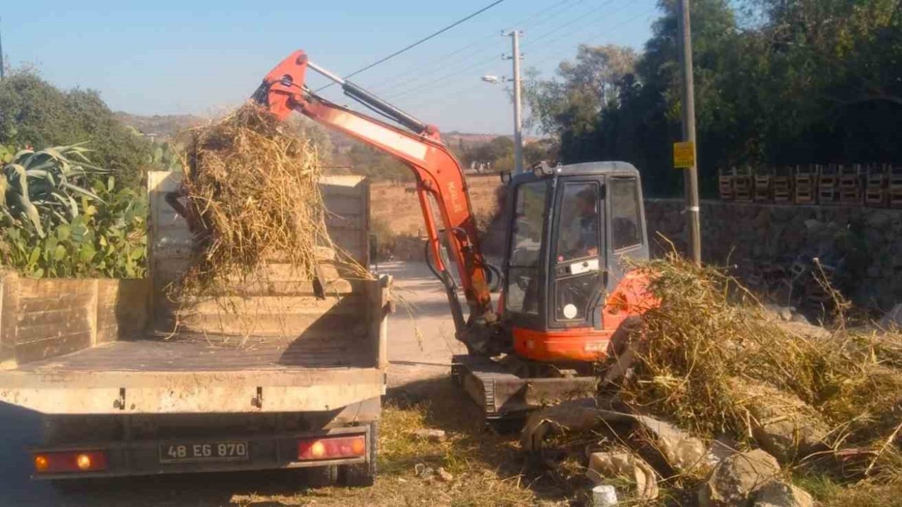 Bodrum’un derelerinde kış temizliği