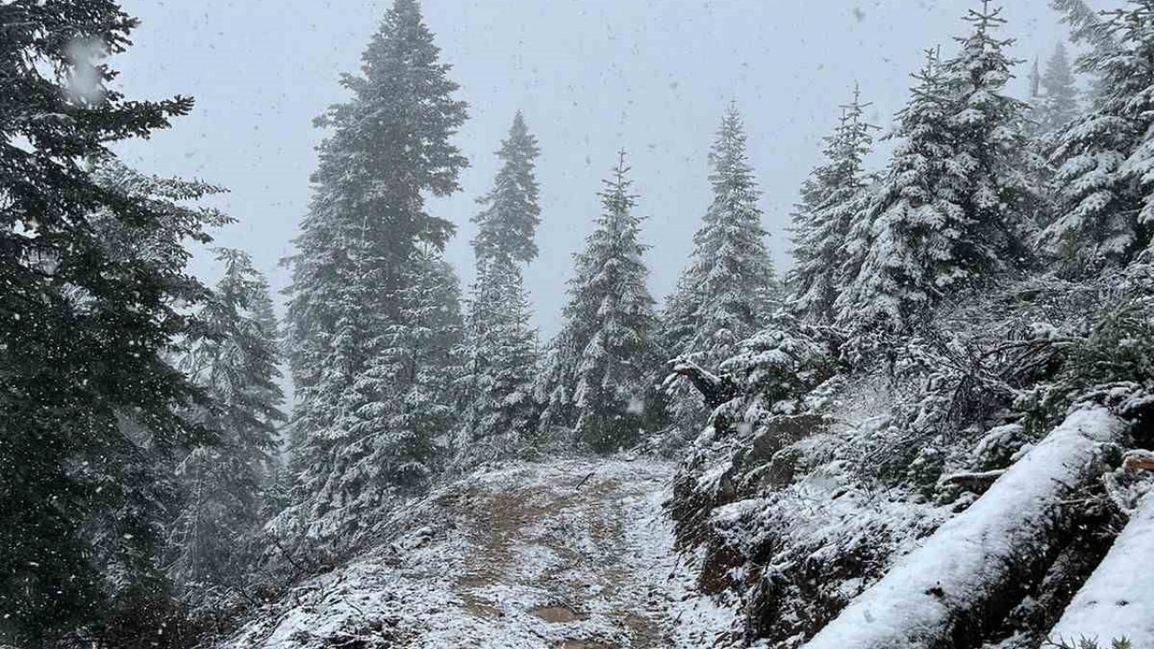 Kastamonu’nun yüksek kesimlerinde kar yağışı etkili olmaya başladı