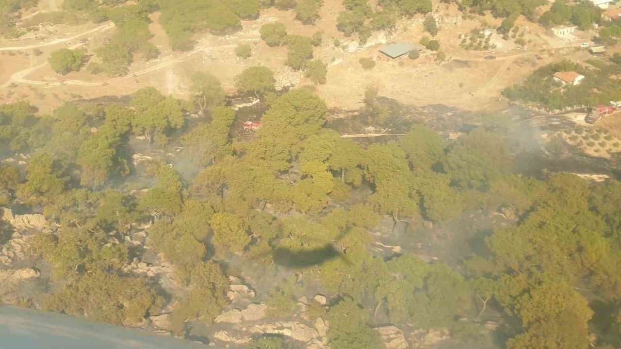 İzmir’de tarım arazisinde çıkıp ormana sıçrayan yangın söndürüldü