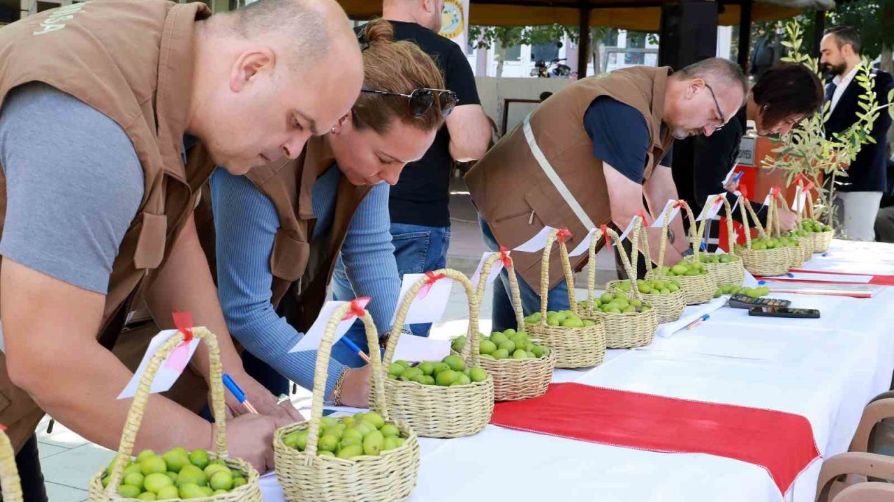 Belen’in tescilli zeytinleri yarıştı