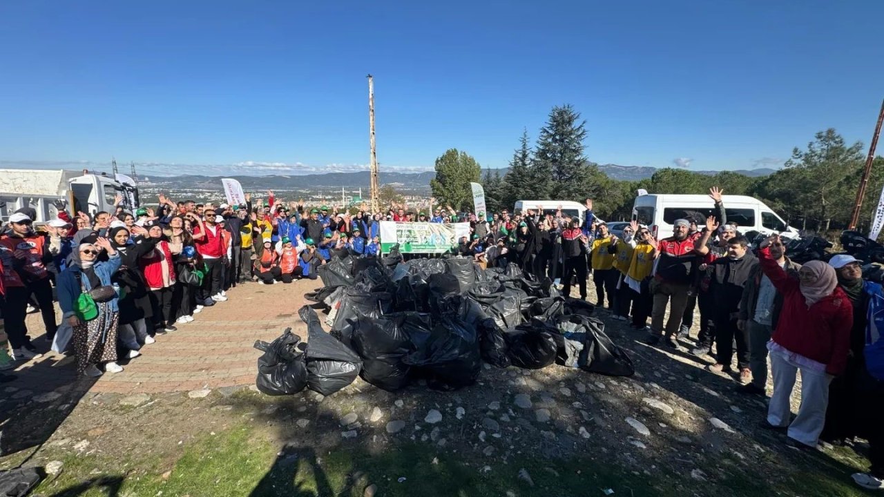 Ormanlar karış karış temizledi