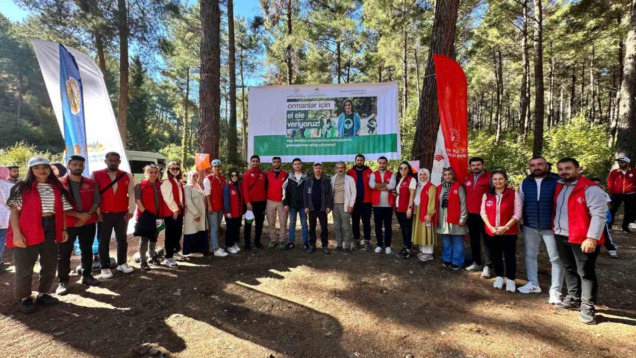 Osmaniye’de ormanlık alanlar temizlendi