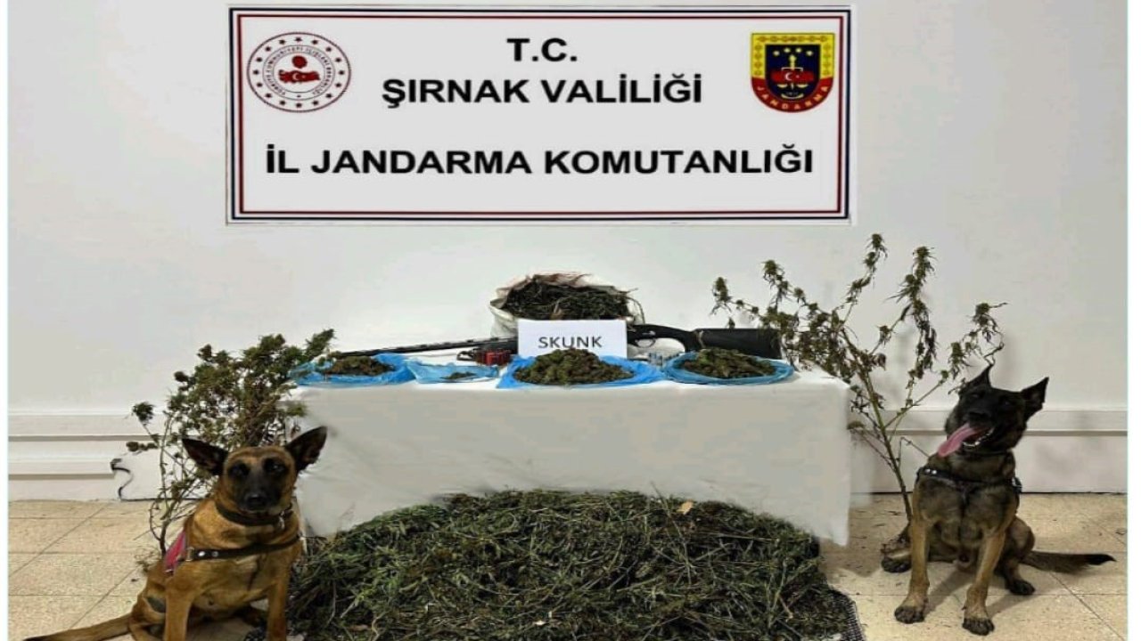 Şırnak’ta Jandarma ekiplerinden kaçakçılık operasyonu: 2 tutuklama