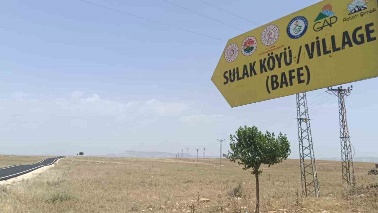 Şırnak’ta arazi keşfine giden ekibe silahlı saldırıda bulunan şahıs teslim oldu