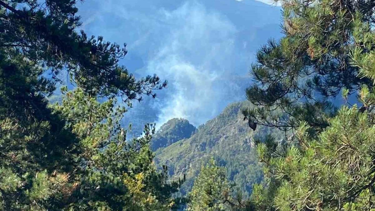 Hatay’da orman yangını