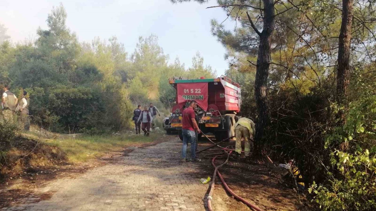 Osmaniye’de orman yangını başladı