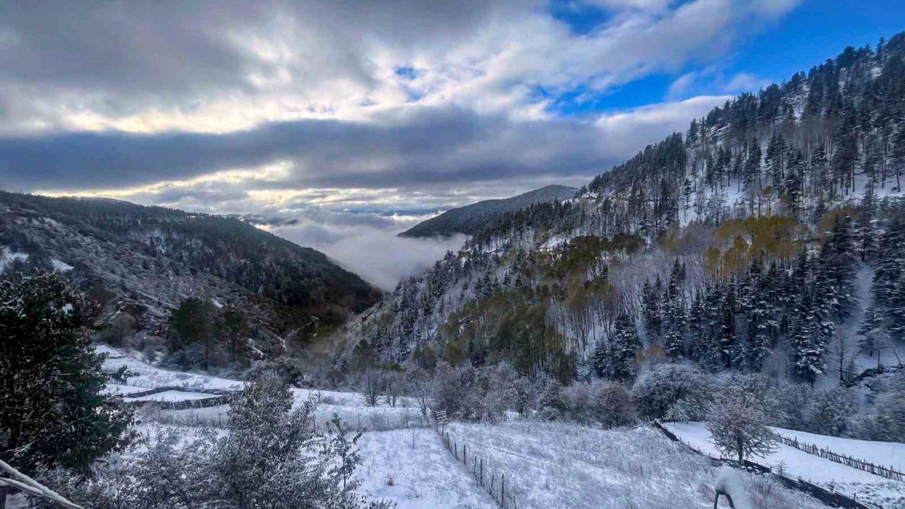 Gümüşhane’de kar ve sis buluştu ortaya tablo gibi bir fotoğraf çıktı