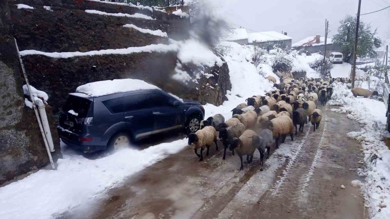 Giresun’da kar yağışı nedeniyle mahsur kalan çobanlar kurtarıldı