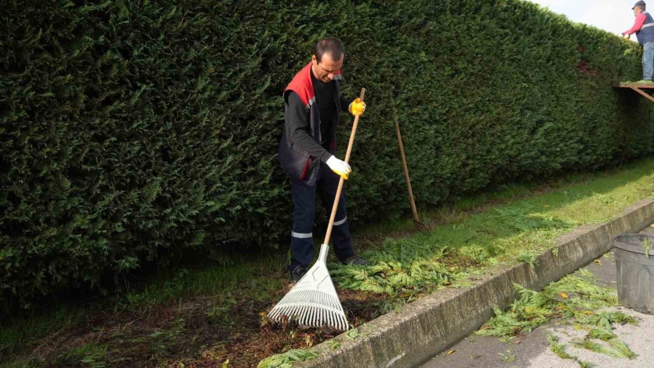 Yeşil alanlarda düzenleme sürüyor