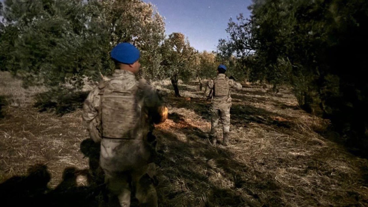 Çiftçinin zeytinine jandarma koruması