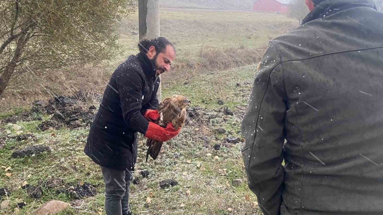 Polisten atmacaya şefkat eli