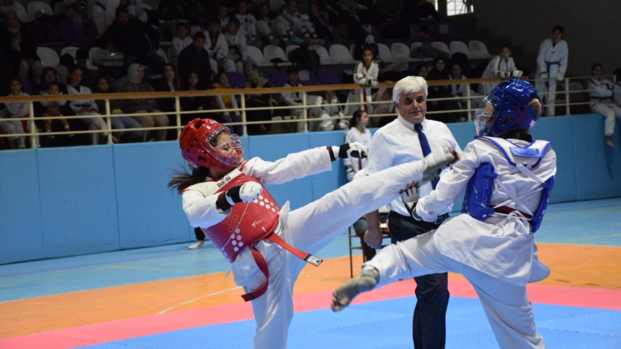 Minikler ve Yıldızlar Taekwondo Cumhuriyet Kupası Müsabakaları tamamlandı