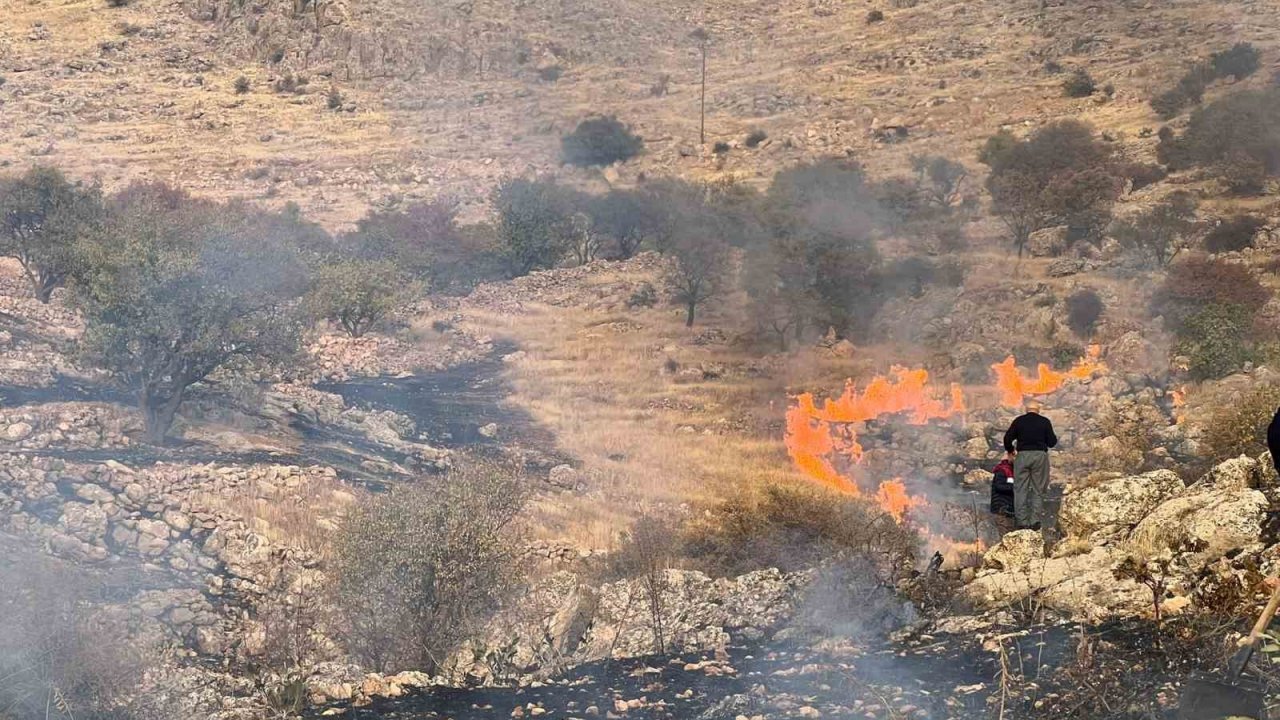 Mardin’de çıkan ot yangını söndürüldü