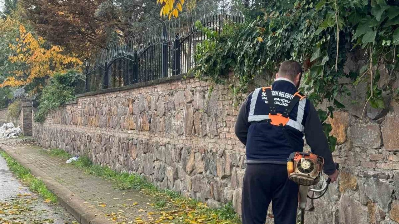 Serdivan’da temizlik seferberliği devam ediyor