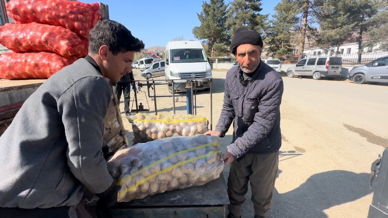 Yüksekova’da patates satışları başladı