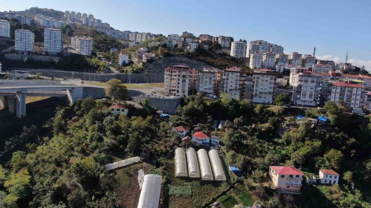 Şehir merkezinde apartmanlar arasında organik tarım yapıyorlar