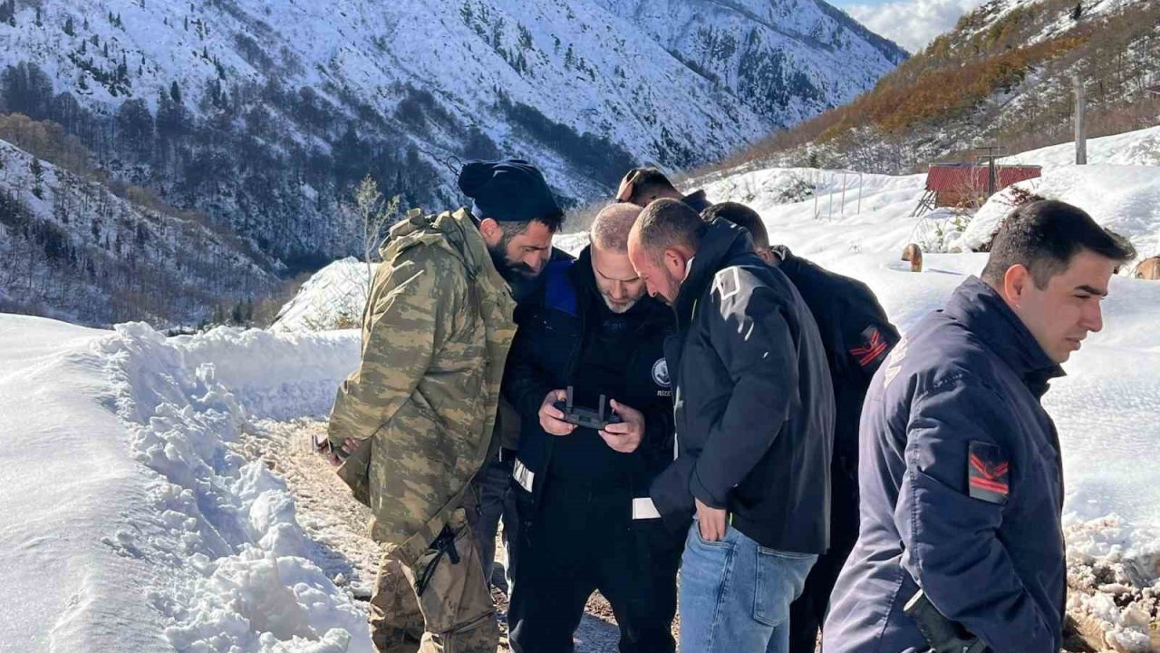 Ayı saldırdığı için ahırdan kaçan sürü 20 gündür Rize’nin karlı dağlarında aranıyor