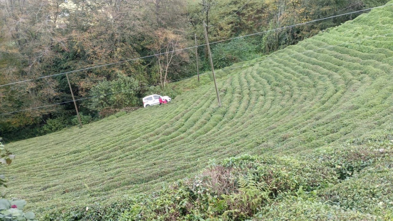 Rize’de araç çay bahçesine yuvarlandı