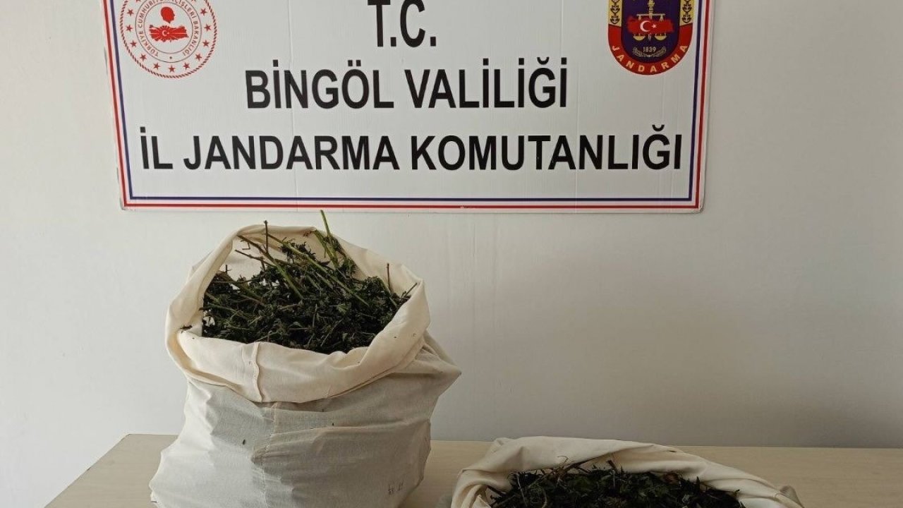 Bingöl’de 7 kilo esrar ele geçirildi