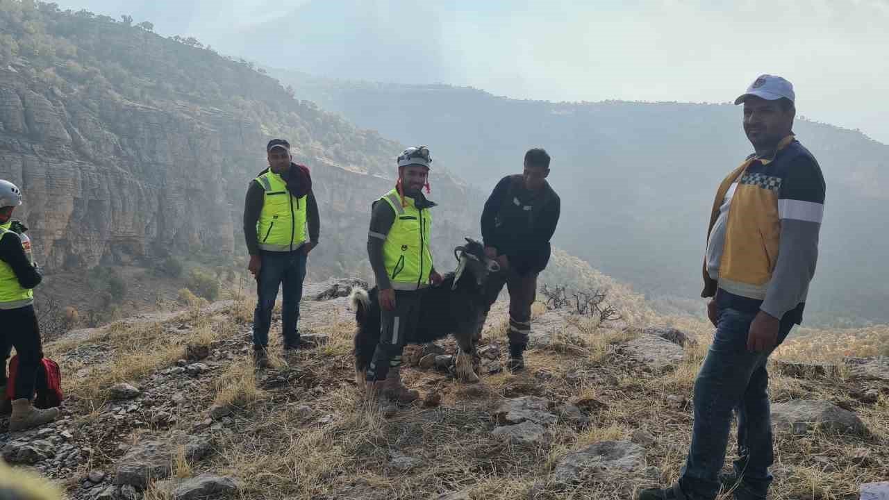 Uçurumda mahsur kalan keçiyi ERKUT ekipleri kurtardı