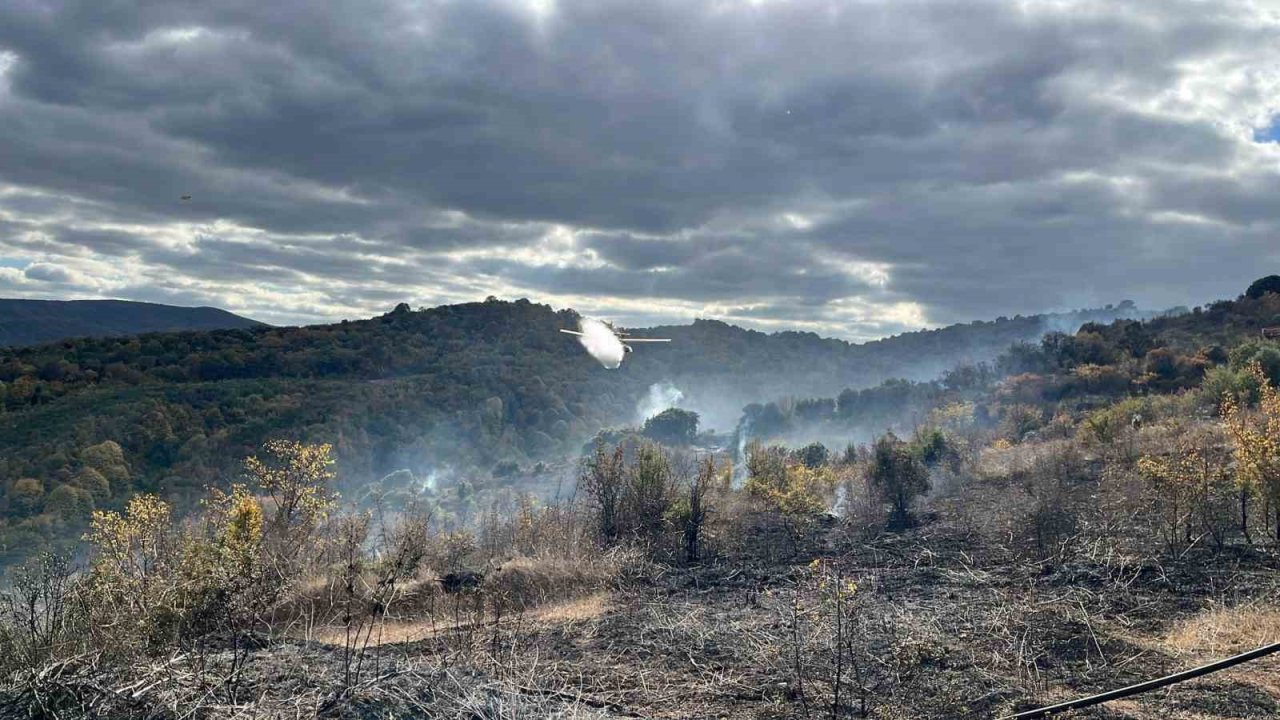 Çanakkale’deki yangında 2 hektarlık alan zarar gördü