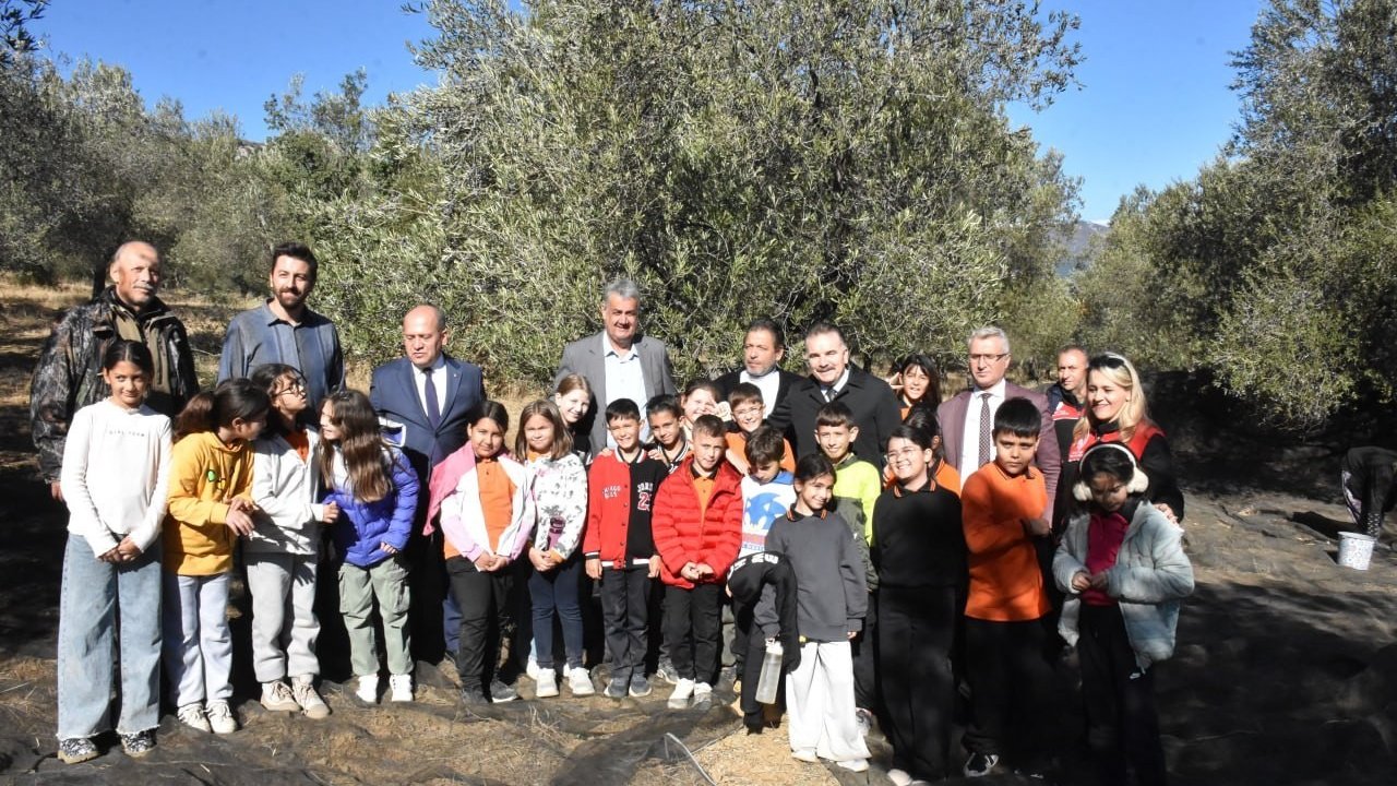 Tarladan sofraya zeytinyağının hikayesi çocuklara anlatıldı