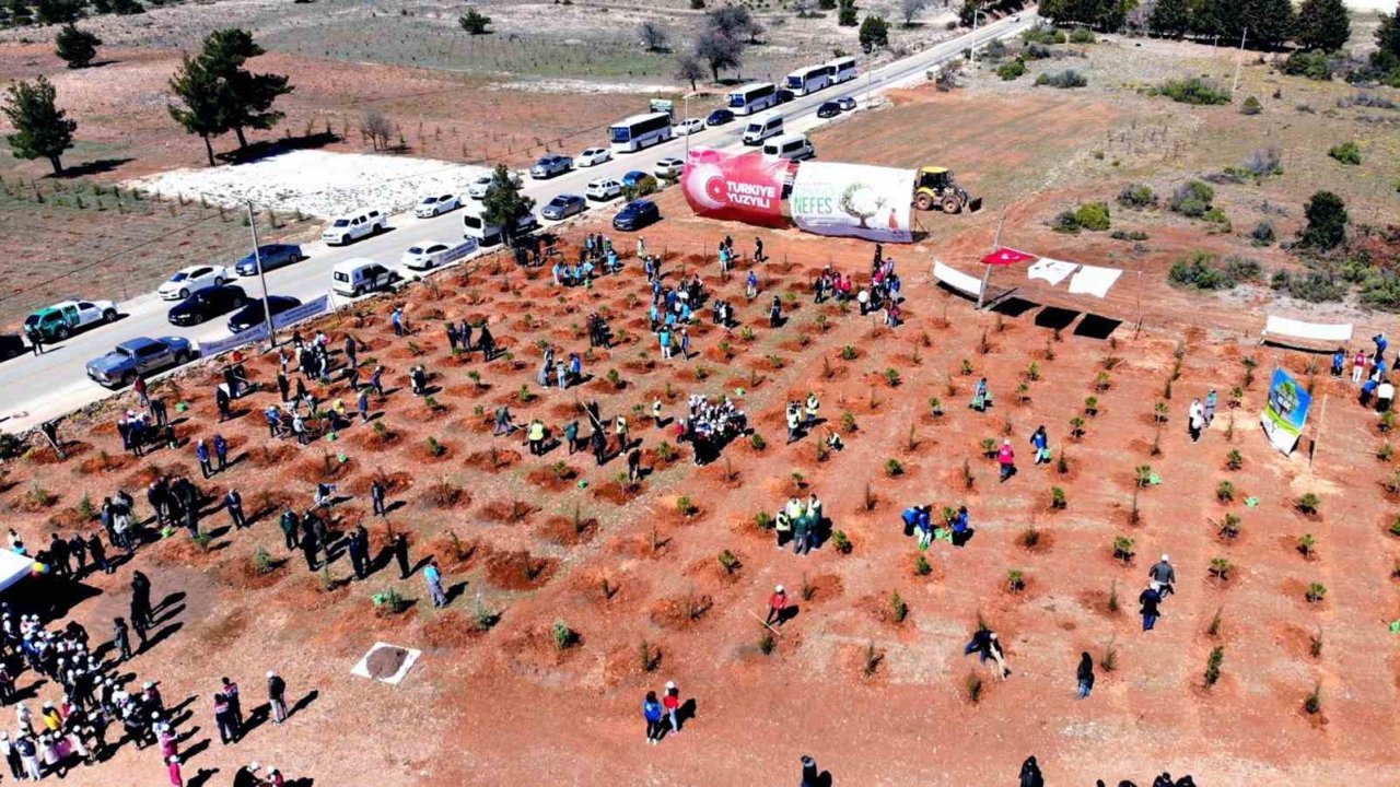 Muğla’nın 11 ilçesinde, 11 Kasım’da, saat 11.11’de binlerce fidan toprakla buluşacak