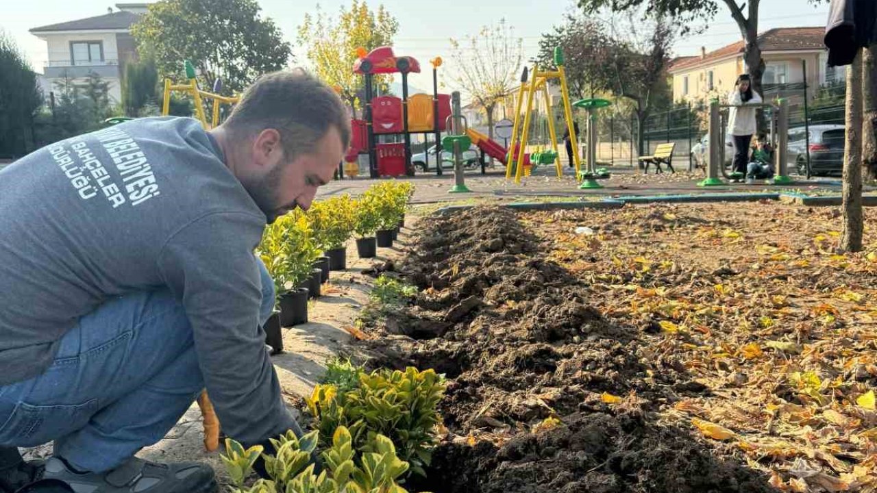 Serdivan’ın yeşil alanları güzelleşiyor