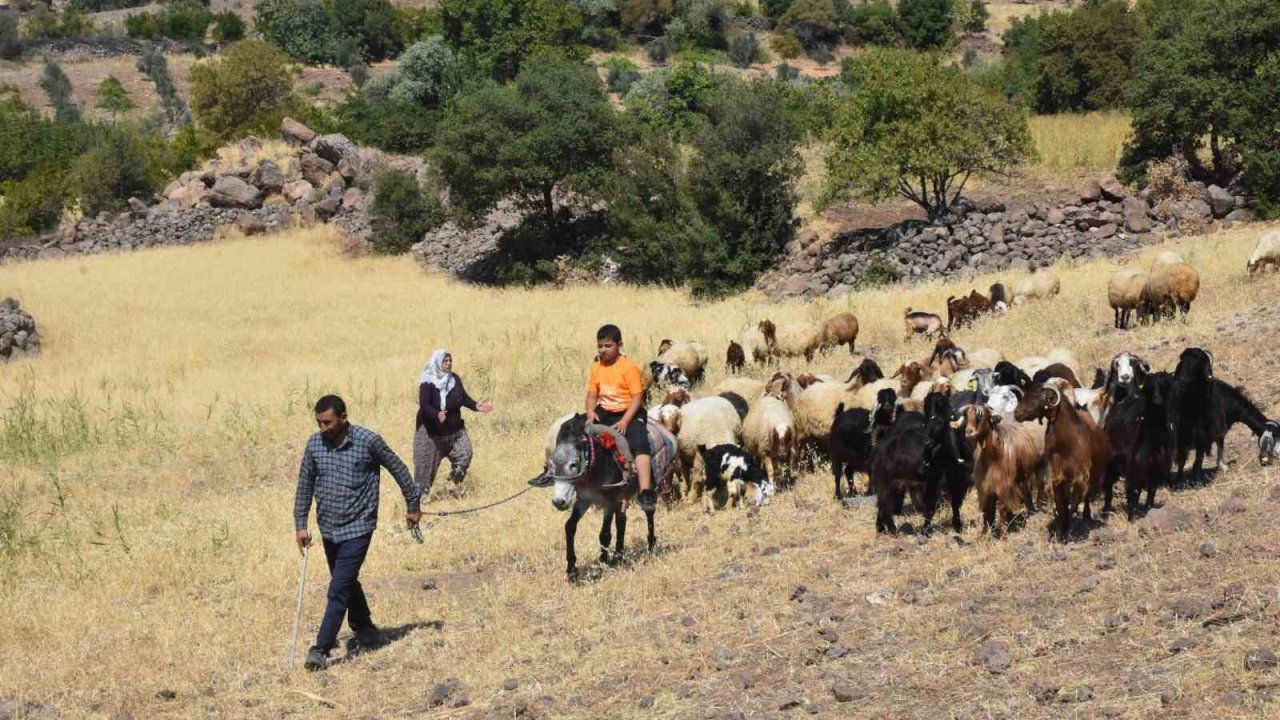 Şahinbey Belediyesi’nin destekleri ile hayvan yetiştiriciliği arttı