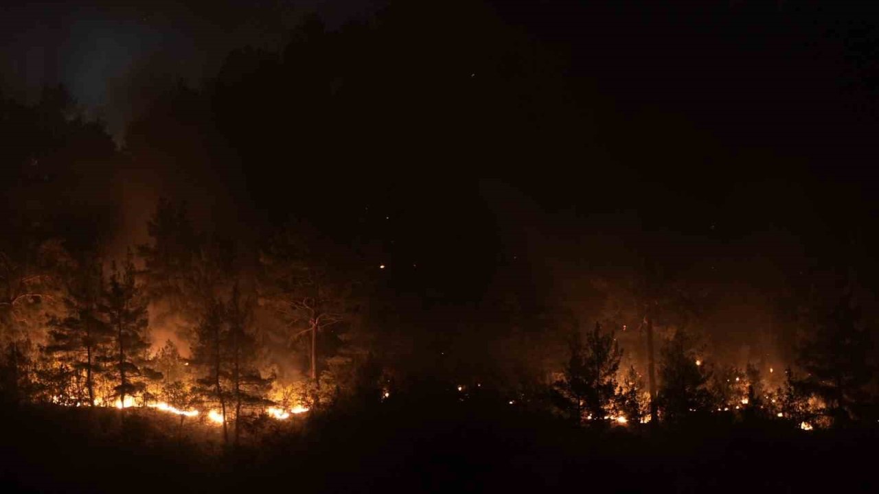 Bursa-Balıkesir il sınırındaki orman yangınına 8. saatinde müdahale devam ediyor