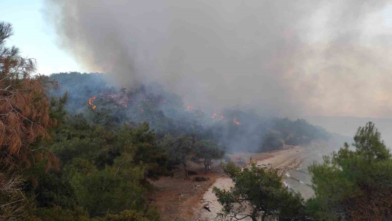 Keşan’da ormanlık alanda çıkan yangın kontrol altına alındı