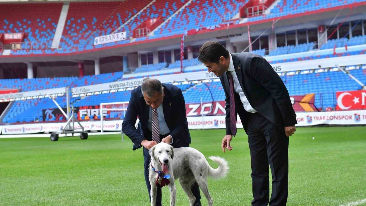 ‘Zibidi’ Trabzonspor’a transfer oldu, ismi ’Fırtına’ olarak değişti