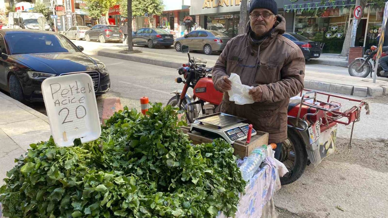 Elazığ’da 70 yaşındaki Mustafa dedenin hayat mücadelesi