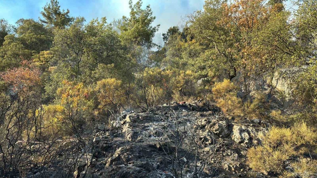 Kumluca’daki orman yangını kısmen kontrol alına alındı