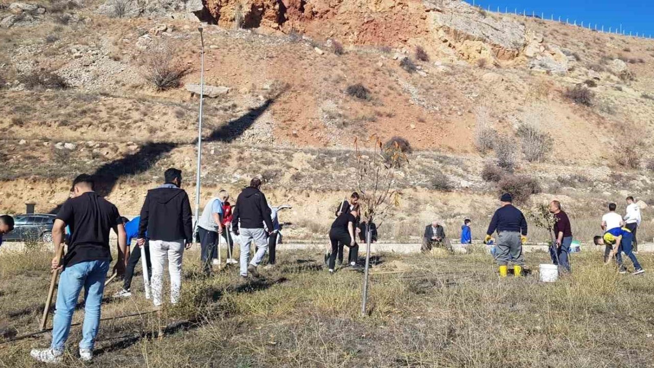 Bayburt’ta fidanlar toprakla buluştu