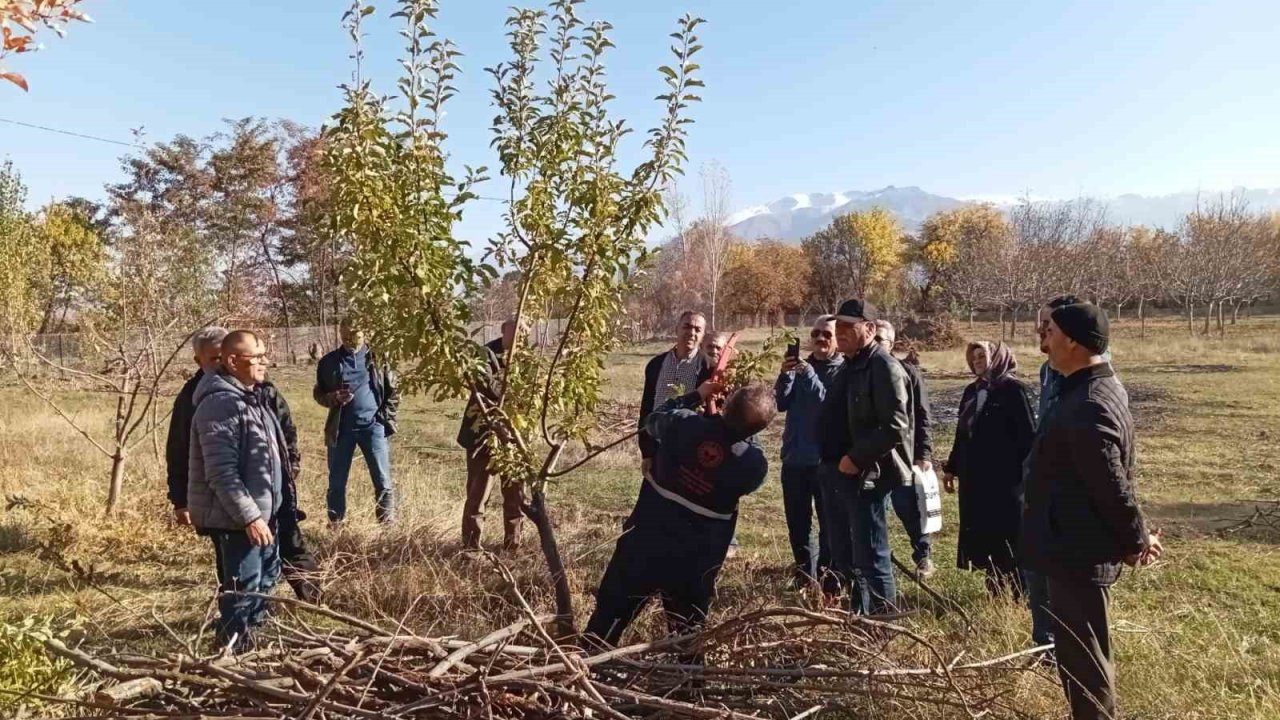 Erzincan’da teorik ve pratik budama eğitimleri başlatıldı