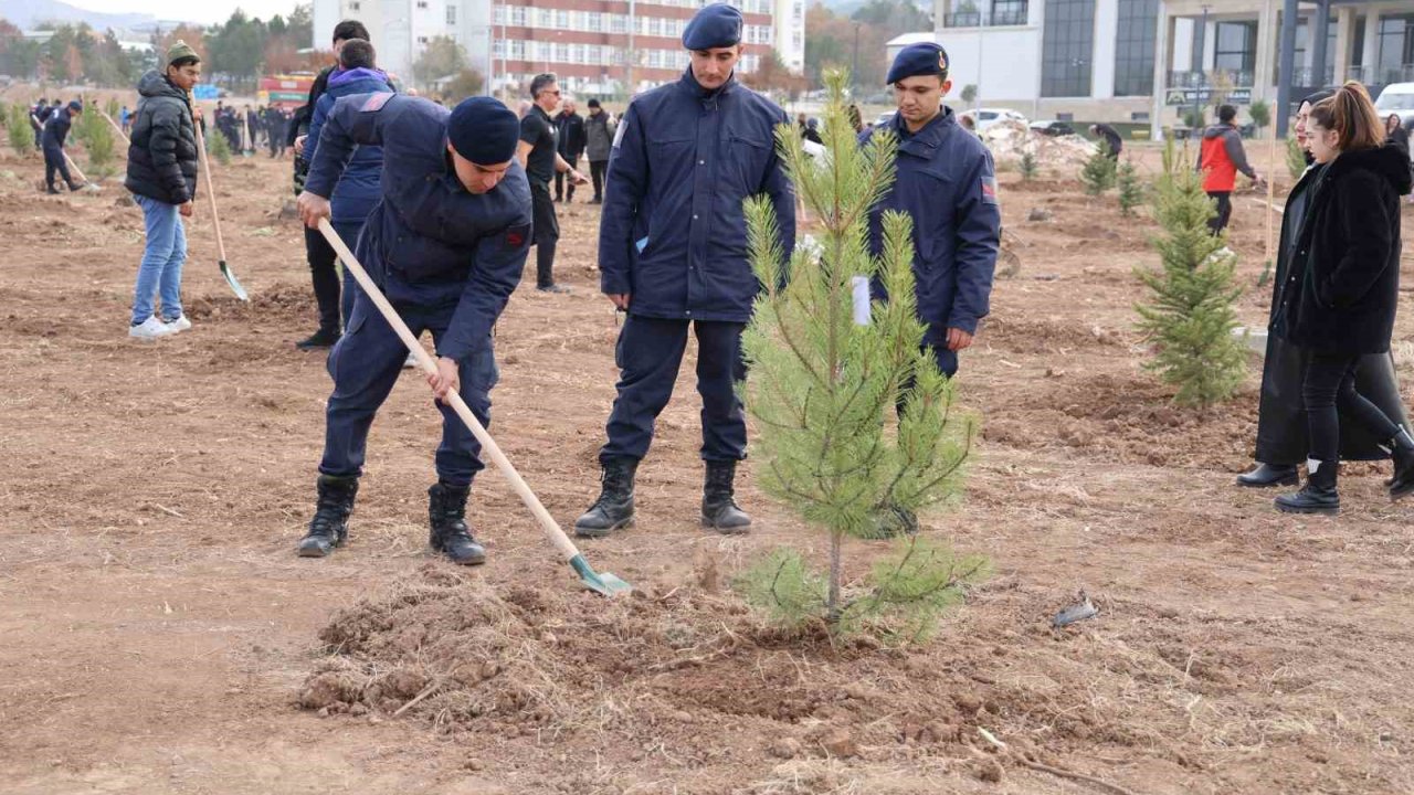 Sivas’ın ormanlık alanı 504 bin dekara yükseldi