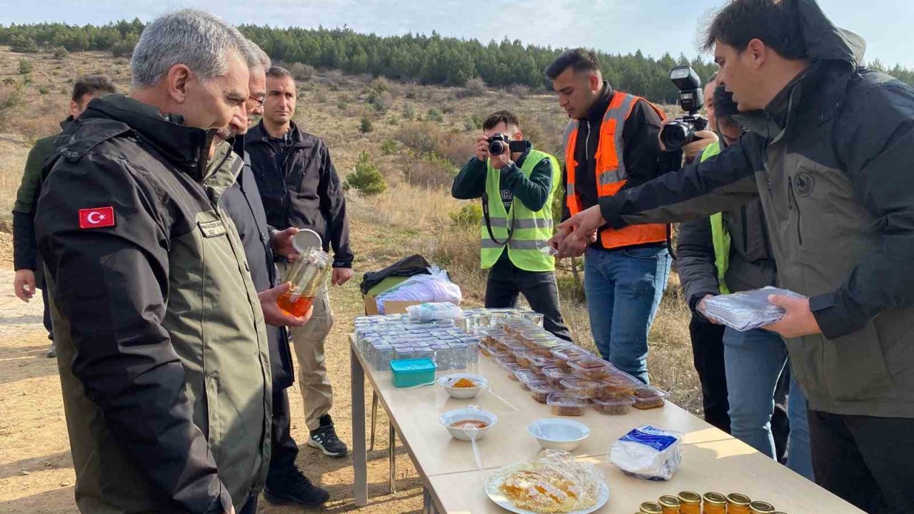 Yozgat Çamlık Bal Ormanı’nda fidanlar toprakla buluştu